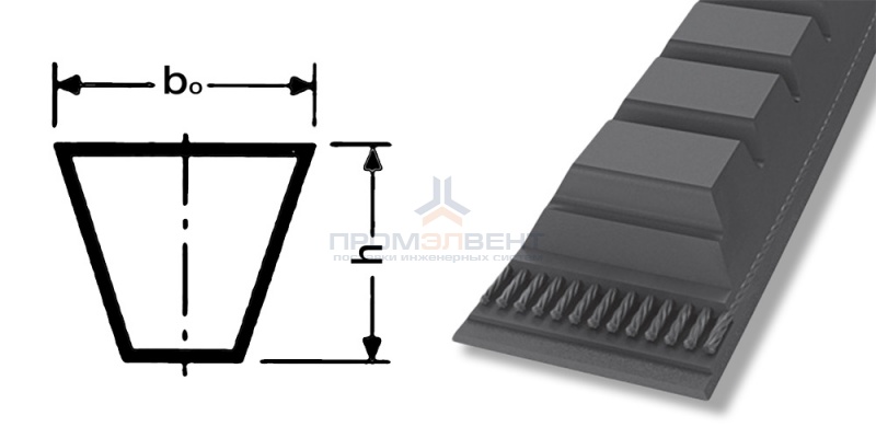 ремень xpa 782