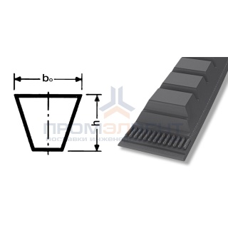 ремень xpa 2282